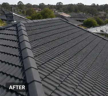 Roof 1 after