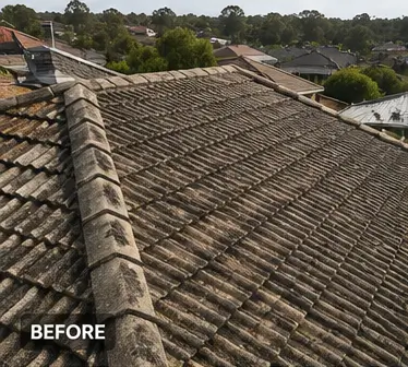 Roof 1 before