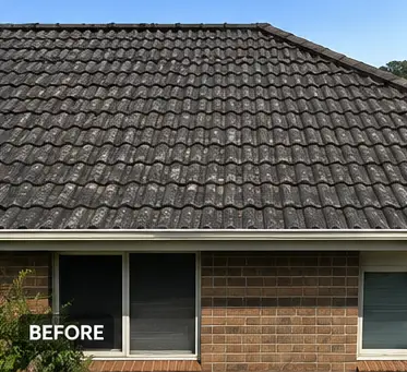 Roof 6 before